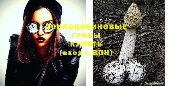 меф Вяземский