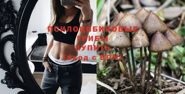 меф Вяземский