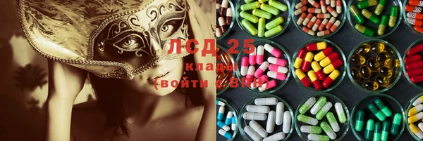 меф Вяземский